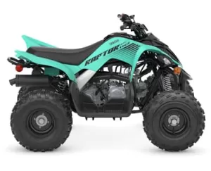 Raptor 110