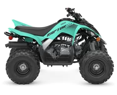 Raptor 110