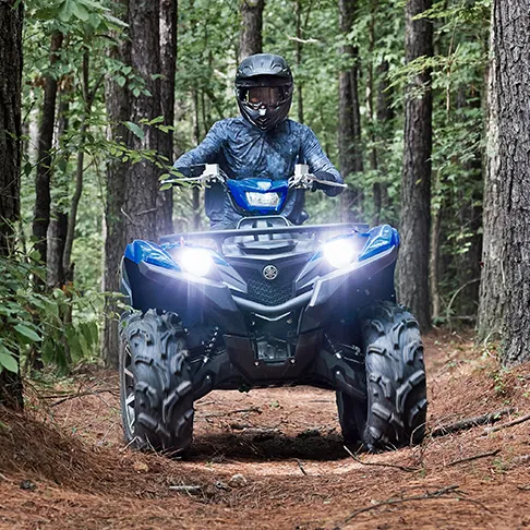 VTT